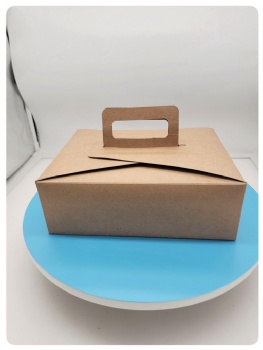 Cake box with handle